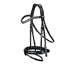 Flash Bridle Miami