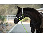 Hi-Vis Headcollar Shiny