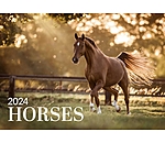 Horses Calender 2025