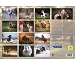 Horses Calender 2025