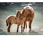 Foals Calendar 2025