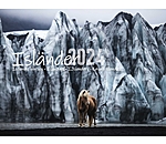 Icelandic Horse Calendar 2025