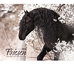 Friesian Horse Calendar 2025