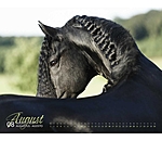 Friesian Horse Calendar 2025