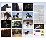 Friesian Horse Calendar 2025