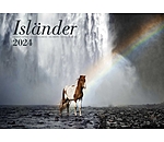 Icelandic Horse Calendar 2025