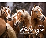 Haflinger Calendar 2025