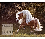 Haflinger Calendar 2025