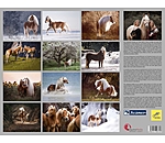 Haflinger Calendar 2025