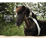 Pony Calendar 2025