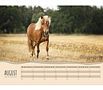 Pony Calendar 2025