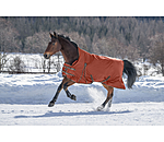 High Neck Turnout Rug Jesco II With Fleece Lining, 0g