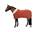 Functional Fleece Wicking Rug Sparkling II