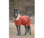 Functional Fleece Wicking Rug Sparkling II