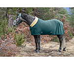 Functional Fleece Wicking Rug Sparkling II