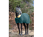 Functional Fleece Wicking Rug Sparkling II