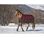 Turnout Rug Generously, 150g