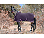 Activity Fleece Rug with Roll-up Neck Piece