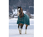 Regular Neck Turnout Rug Perfect Fit Nylon PRO, 0g