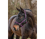 Headcollar Super Price ll