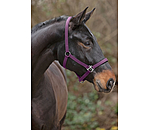 Headcollar Super Price ll