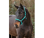 Headcollar Super Price ll