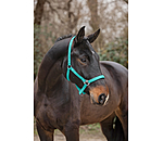 Headcollar Super Price ll