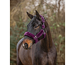 Teddy Fleece Headcollar Protection