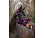 Teddy Fleece Headcollar Protection