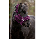 Teddy Fleece Headcollar Protection