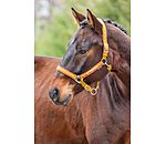 Headcollar Twotone