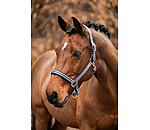 Headcollar Basic