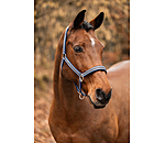 Headcollar Basic