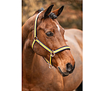 Headcollar Basic