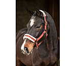 Headcollar Sparkling II