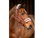 Headcollar Sparkling II