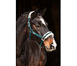 Headcollar Sparkling II