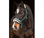 Headcollar Sparkling II