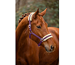 Teddy Fleece Headcollar Super Price III