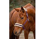 Teddy Fleece Headcollar Super Price III