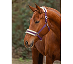 Teddy Fleece Headcollar Super Price III