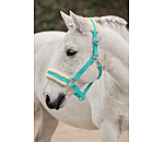 Teddy Fleece Headcollar Super Price III