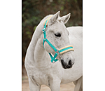 Teddy Fleece Headcollar Super Price III