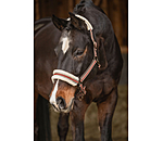 Teddy Fleece Headcollar Essential II