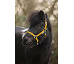 Foal and Shetland Pony Headcollar Grow With You