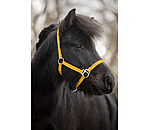 Foal and Shetland Pony Headcollar Grow With You