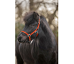 Foal and Shetland Pony Headcollar Grow With You