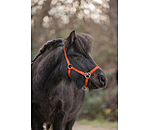 Foal and Shetland Pony Headcollar Grow With You