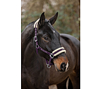 Teddy Fleece Headcollar Better Together