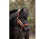 Foal & Shetland Pony Teddy Fleece Headcollar Cozy Adjustable